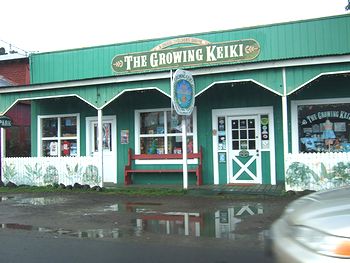 アメリカ雑貨屋 サンブリッヂ 買付ブログ
ハワイ ノースシェアー サーフアンドシー
