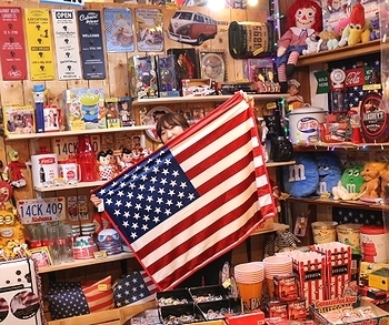 クウォーターブランケット ルート66 エアフォース 星条旗
マイクロファイバー アメリカ雑貨屋 サンブリッヂ 岩手 盛岡雑貨屋