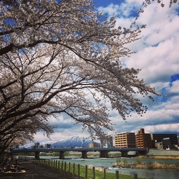 岩手 盛岡市 明治橋桜並木 アメリカ雑貨屋 SUNBRIDGE