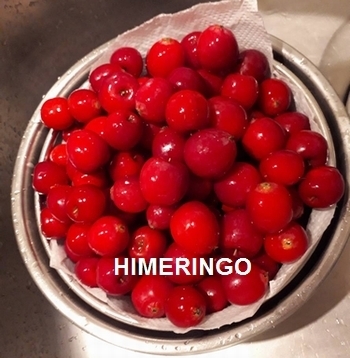 2018-11-22-1.jpg