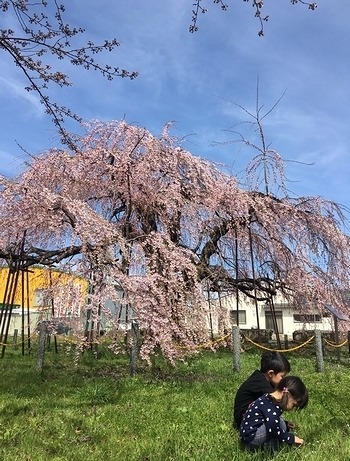 2018-4-18-5.jpg