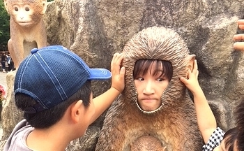 盛岡動物園 岩手動物園
岩手雑貨屋 雑貨屋サンブリッヂ SUNBRIDGE アメリカ雑貨通販