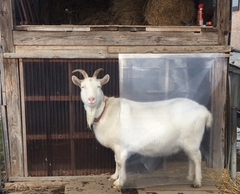 2019-1-21-15.jpg