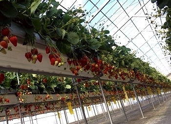 2019-1-21-8.jpg