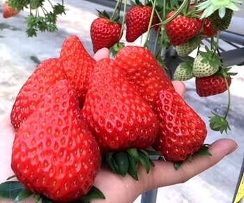 2019-1-21-9.jpg
