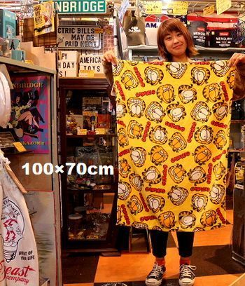 ガーフィールドブランケット ガーフィールドひざ掛け
アメリカ雑貨屋 サンブリッヂ SUNBRIDGE 岩手雑貨屋
