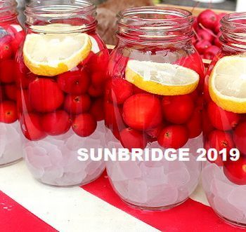 ひめリンゴ酒 ひめリンゴジャム
アメリカ雑貨屋 サンブリッヂ SUNBRIDGE 岩手雑貨屋 アメリカ雑貨通販