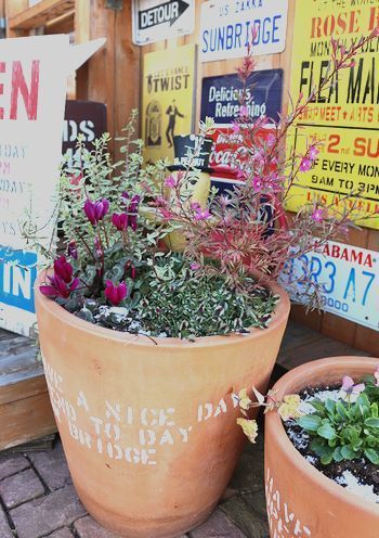 アメリカン寄せ植え ステンシル鉢
アメリカ雑貨屋 サンブリッヂ 岩手矢巾町雑貨