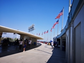 ドジャースタジアム 母の日ドジャースユニホーム
アメリカ雑貨屋 サンブリッヂ 岩手雑貨 SUNBRIDGE
