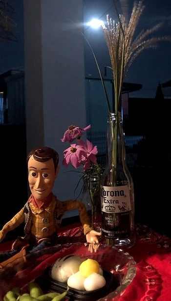 2019-9-14-5.jpg