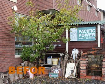 ひめりんご 姫リンゴの木
アメリカ雑貨屋 アメリカン雑貨 サンブリッヂ 岩手雑貨屋 アメリカ雑貨通販 矢巾町