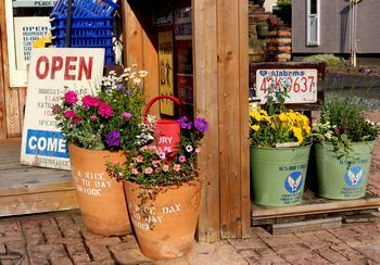 ガーデニング アメリカガーデニング 鉢植えアメリカ
アメリカ雑貨屋 サンブリッヂ SUNBRIDGE 岩手雑貨屋 アメリカ雑貨通販 布マスク販売店