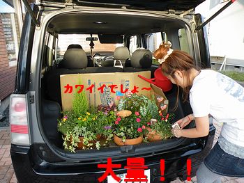 アメリカ雑貨 通販 岩手 サンブリッヂ 日記 ブログ
スタッフのガーデニング★