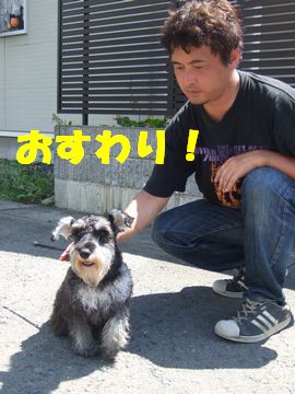 アメリカ雑貨屋 サンブリッヂ ブログ日記
ミニチュアシュナウツァー