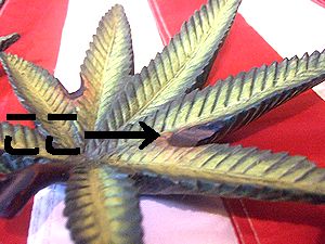アメリカ雑貨屋 SUNBRIDGE 商品紹介
HEMP灰皿