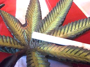 アメリカ雑貨屋 SUNBRIDGE 商品紹介
HEMP灰皿